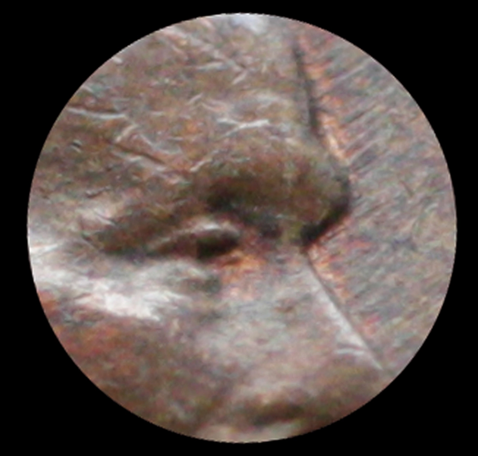 LWC-1957-D-DDO-004-Very-Late-Die-State